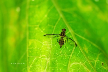 SAM_0759