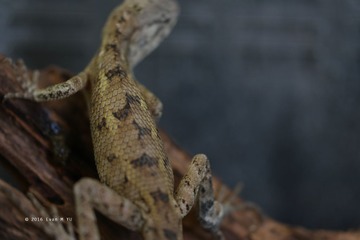 SAM_0813