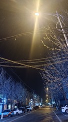 1000055440