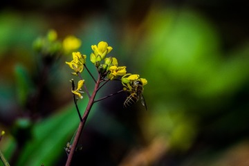 P2200029_1