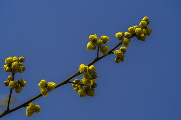 P2200030_1