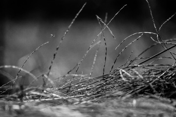 P2200039_2