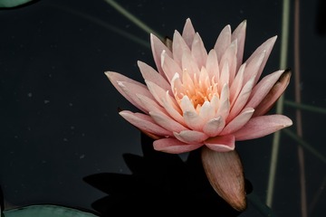 P4240034