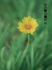 20160603-P6030322