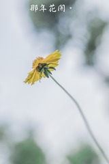 20160603-P6030341
