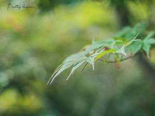 20160603-P6030284