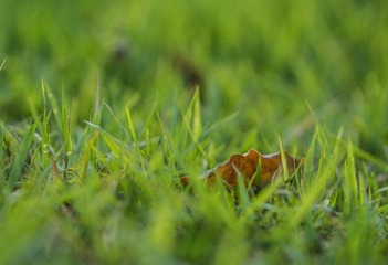 20160603-P6030291