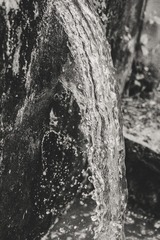 20160604-P6040035