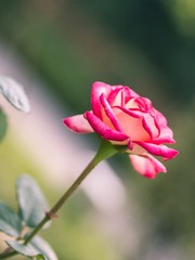 20160604-P6040241