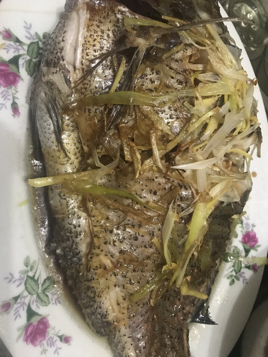国内 鳟鱼