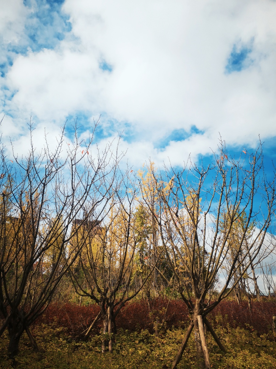 这里很美 - 远方青木 - 图虫