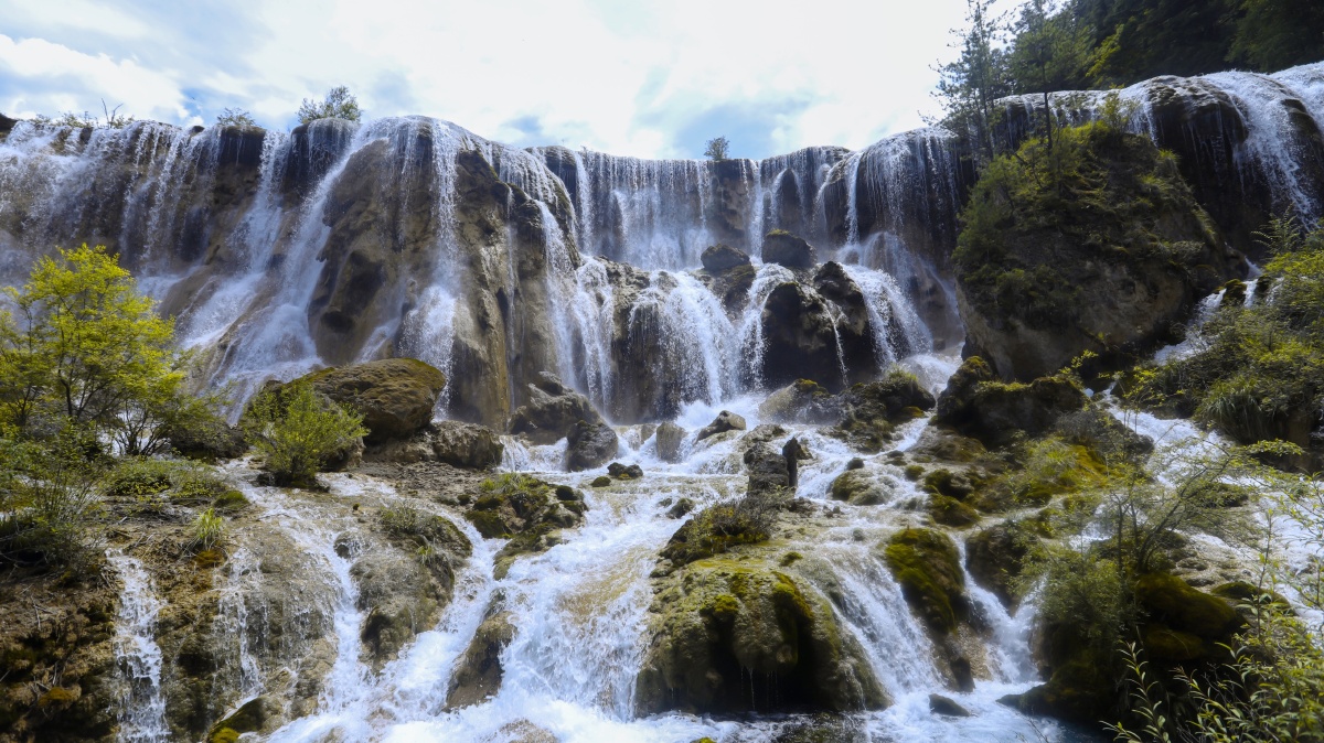 九寨沟诺日朗瀑布宽度有270米是中国大型的钙华瀑布之一也是中国最宽