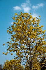 9743C7D8-2CC4-490D-AE80-2F5450519759/L0/001