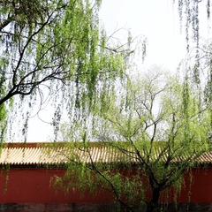 DSC0884563 (2)