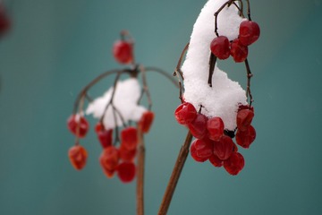 IMGP2749_
