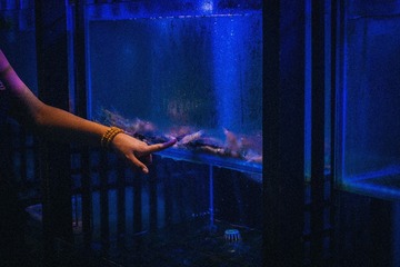 11988