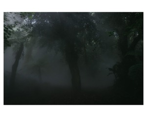 13621