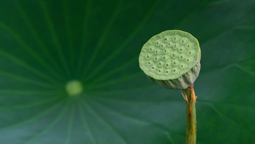 13175