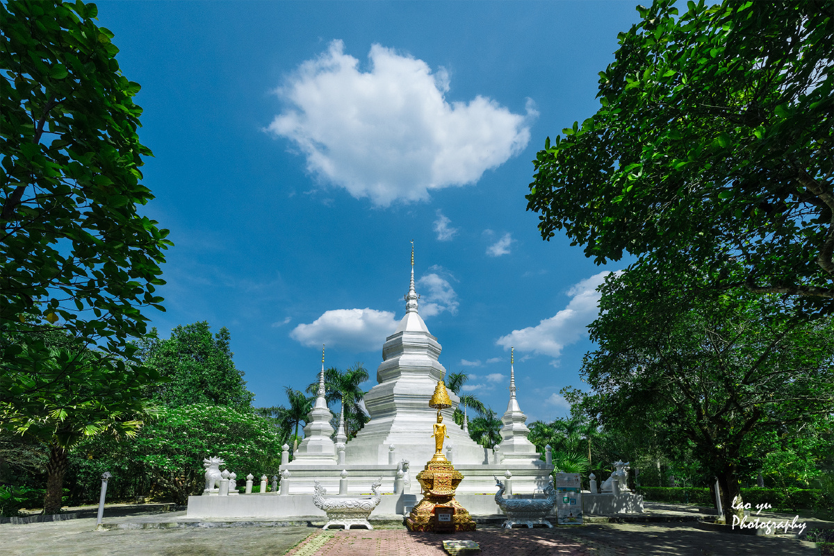 傣族风情园的风景
