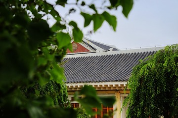 国内的某国味