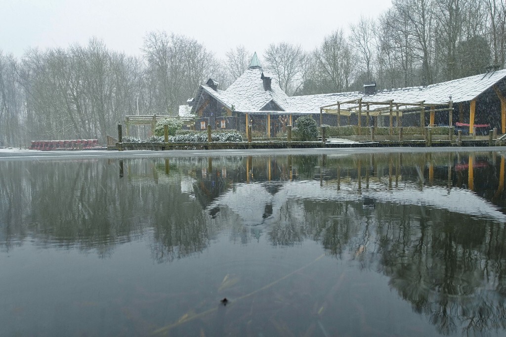 冬日雪景。这是代尔夫特湖旁边的小湖，这两天下雪了，还挺大！