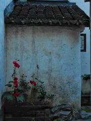 江南