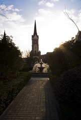 _DSC0247