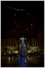 _DSC0296_1