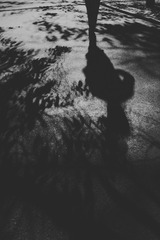 2016-05-11 07.41.57 1