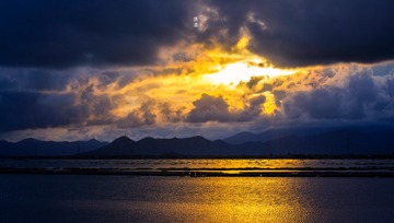 湿地火鸟