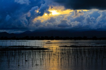 湿地奇景