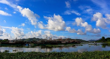 西溪景致