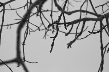 _MG_9425-01