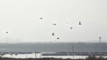 _MG_9309-01