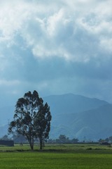 _MG_0739-01