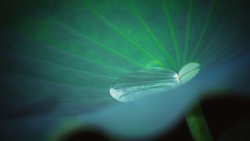 _MG_1361-01-01