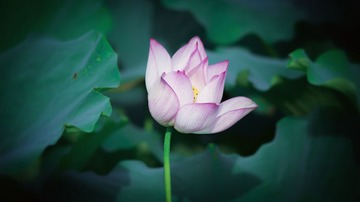_MG_1355-01