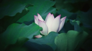 _MG_1420-01