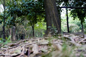 IMGP2573RAW倒出