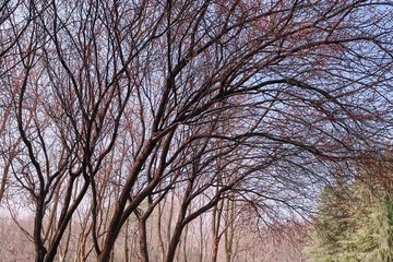 37E623C3-FF02-42B0-BE2F-0813B9F6E415/L0/001