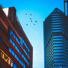 你有 多久 没有仰望天空