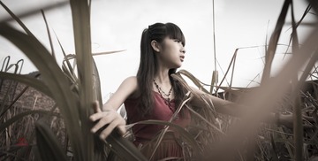 废墟之等风来11