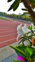 IMG_20160402_172735-01