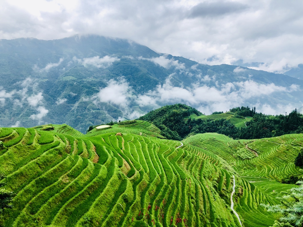 龙脊梯田空山新雨后