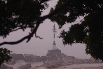 1556121