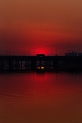 IMG_9061-s