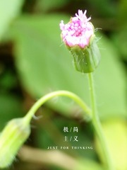 IMG_20151204_090303