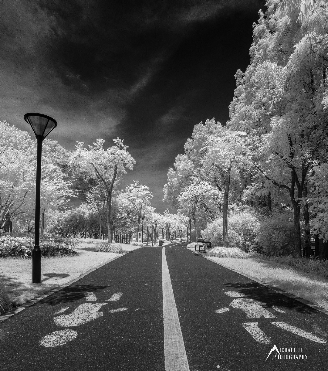 一组黑白红外片