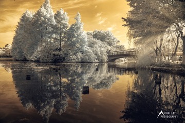 65D81E99-5E69-4C8E-8C4C-26297AA20763/L0/001