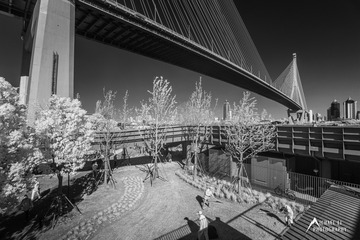D7765EA3-2941-491D-BD80-51F52DDAA532/L0/001